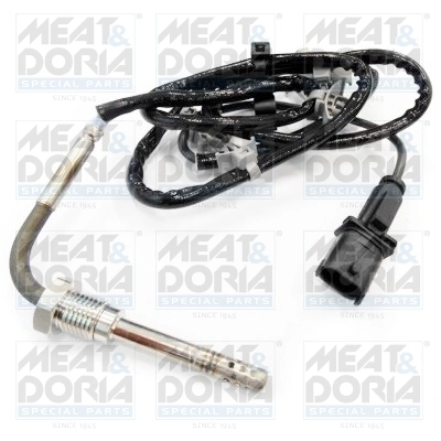 Sensor, exhaust gas temperature